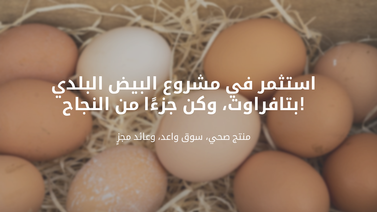 Slide 8 - الخلاصة والدعوة للاستثمار