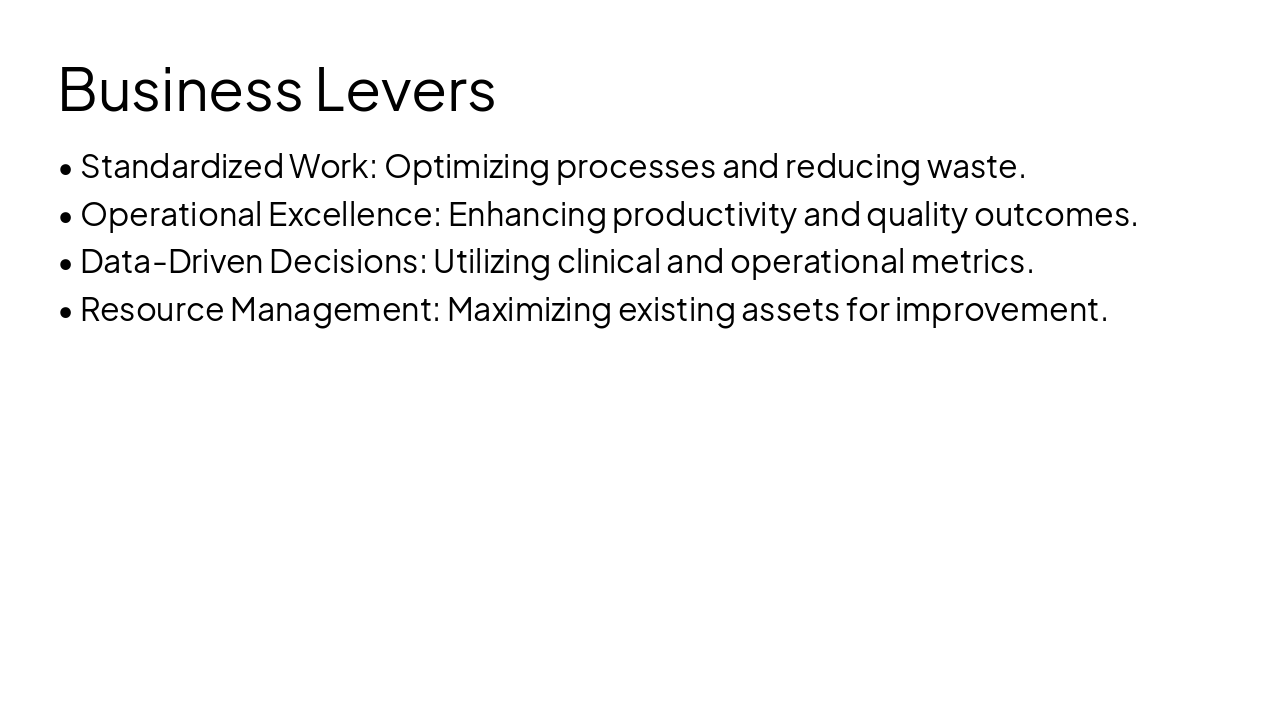 Slide 6 - Business Levers