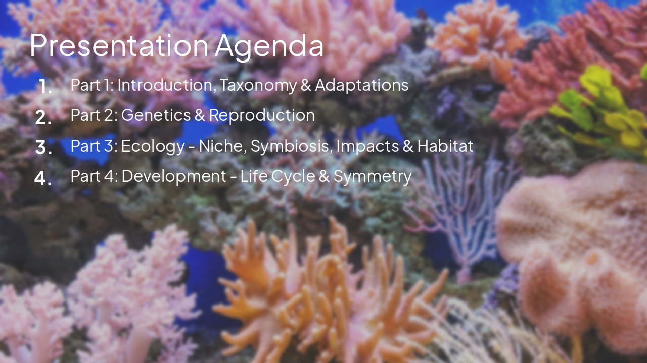 Slide 2 - Presentation Agenda