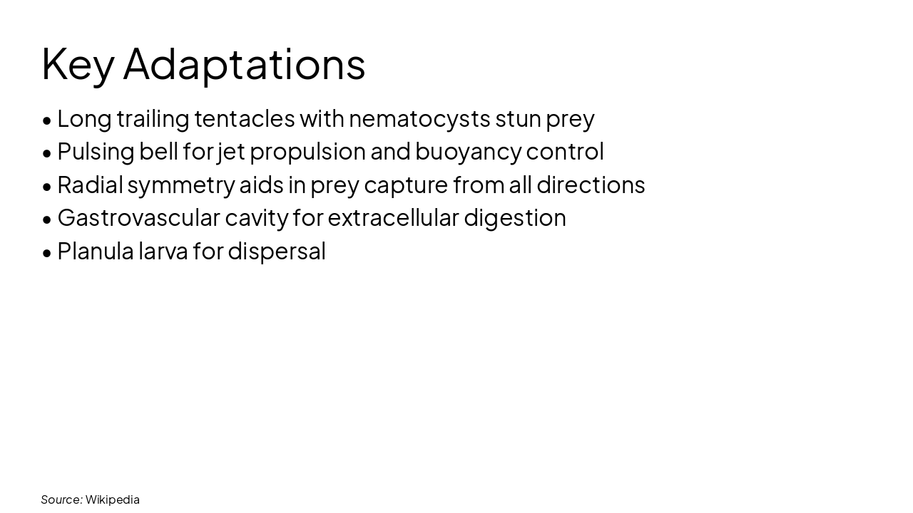 Slide 7 - Key Adaptations