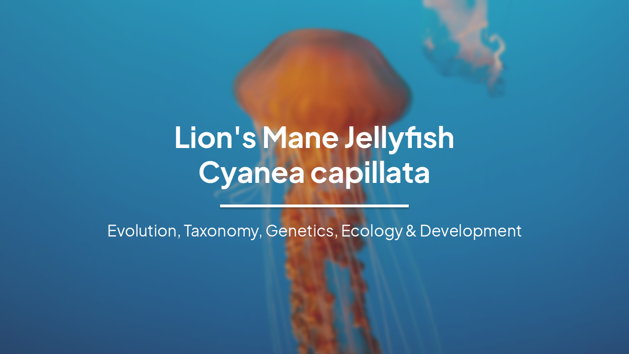 Slide 1 - Lion's Mane Jellyfish
Cyanea capillata