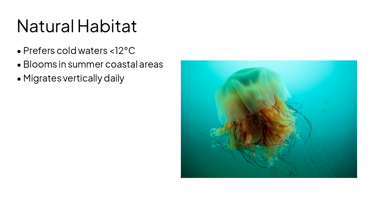 Slide 13 - Natural Habitat