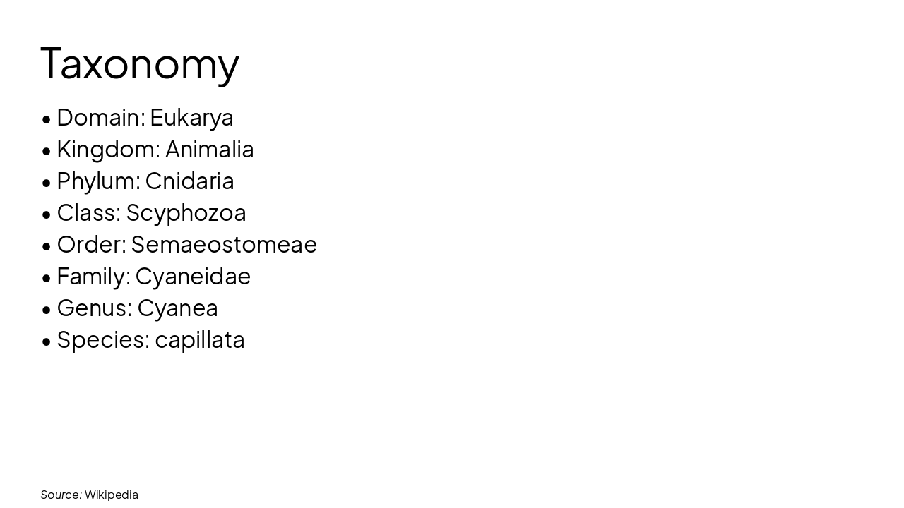 Slide 4 - Taxonomy