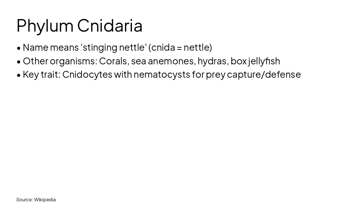 Slide 6 - Phylum Cnidaria