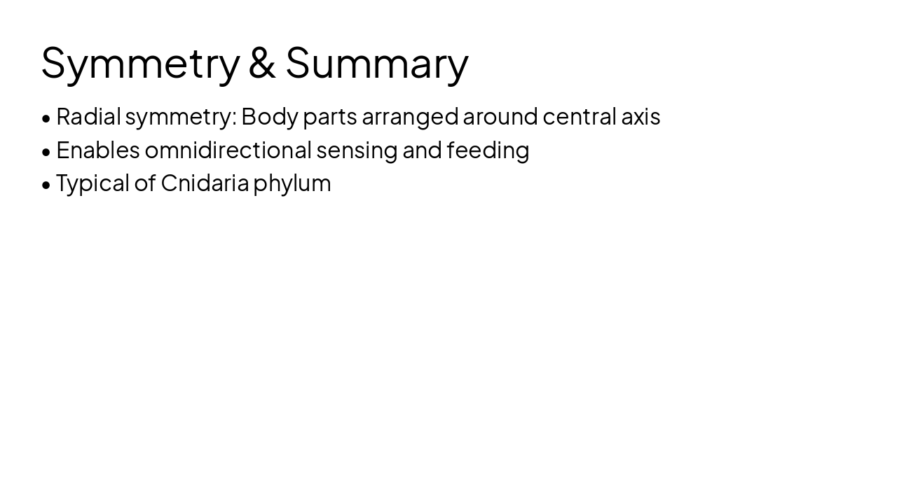 Slide 16 - Symmetry & Summary