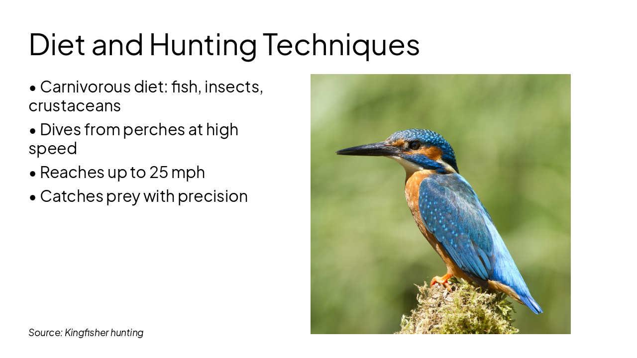 Slide 5 - Diet and Hunting Techniques