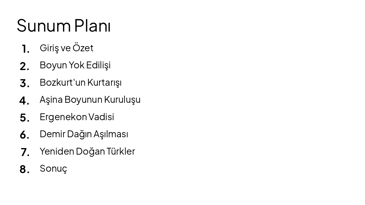Slide 2 - Sunum Planı