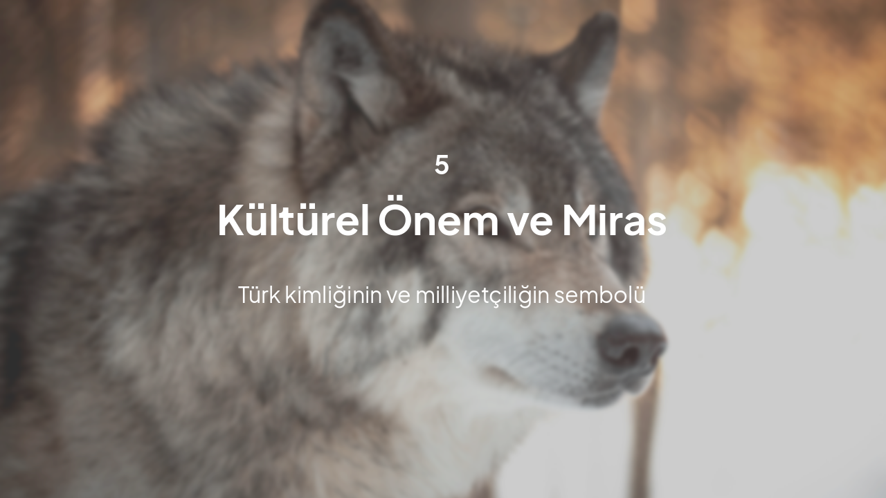 Slide 13 - Kültürel Önem