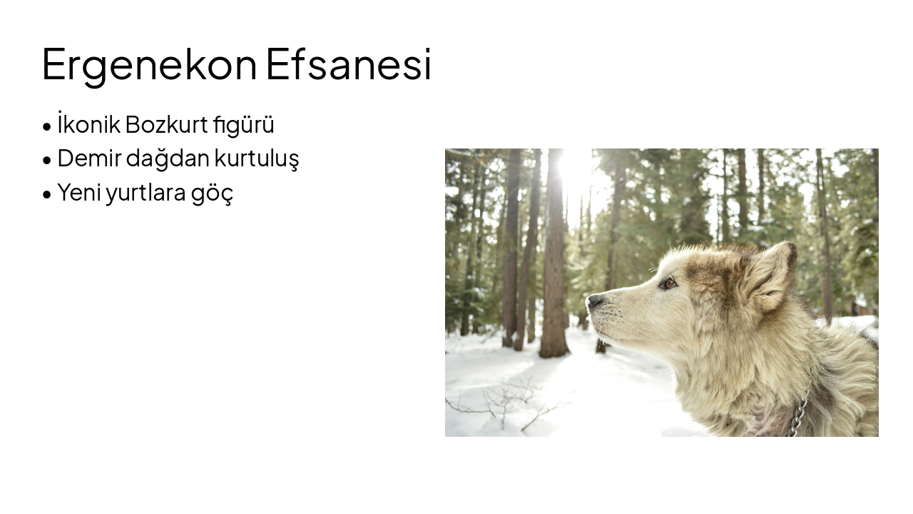 Slide 4 - Ergenekon Efsanesi