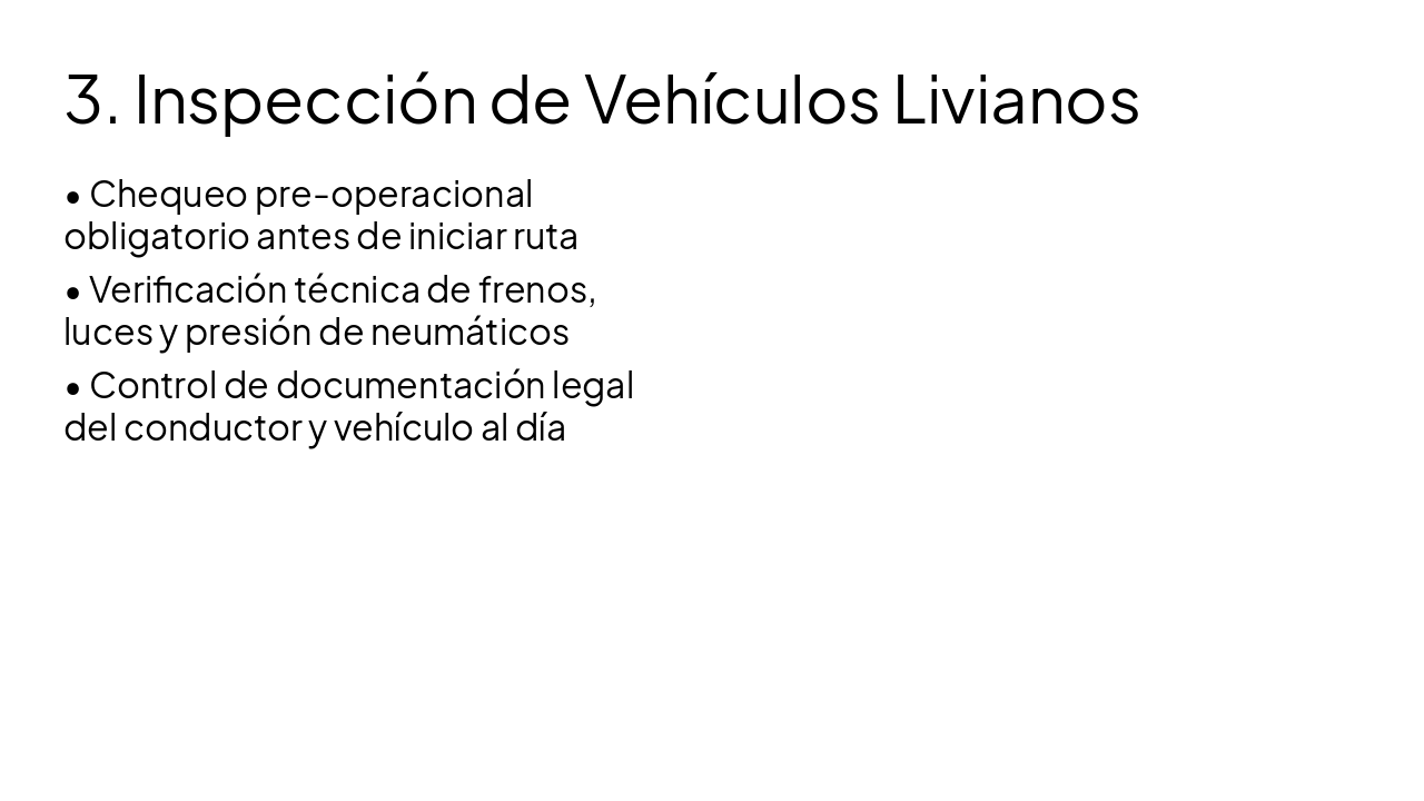 Slide 4 - 3. Inspección de Vehículos Livianos