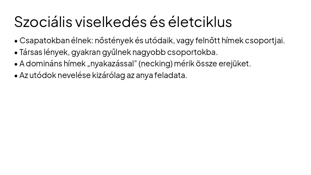 Slide 6 - Szociális viselkedés és életciklus