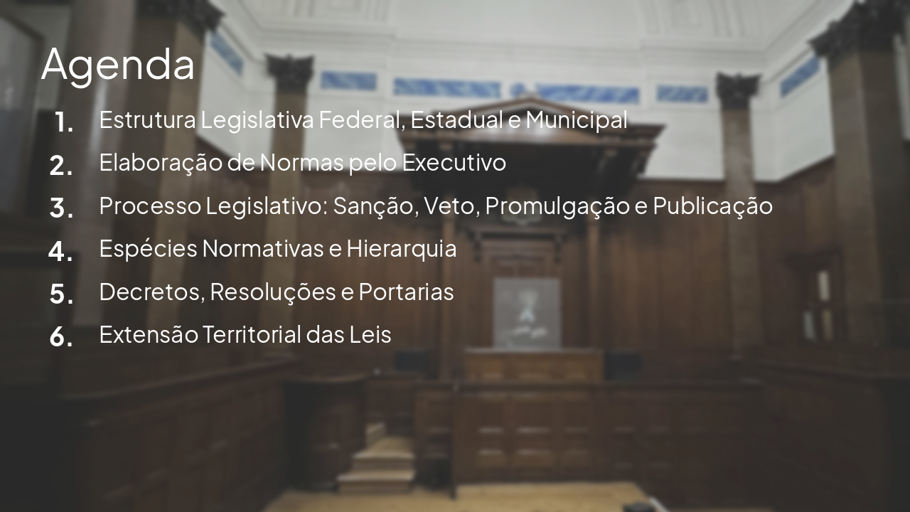 Slide 3 - Agenda