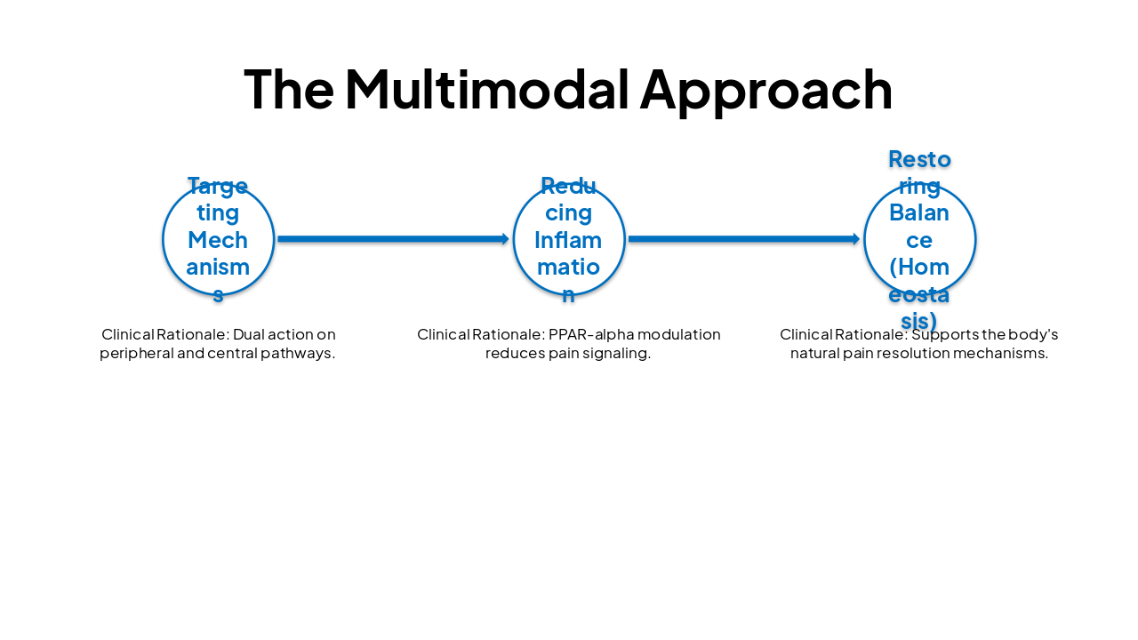 Slide 10 - The Multimodal Approach