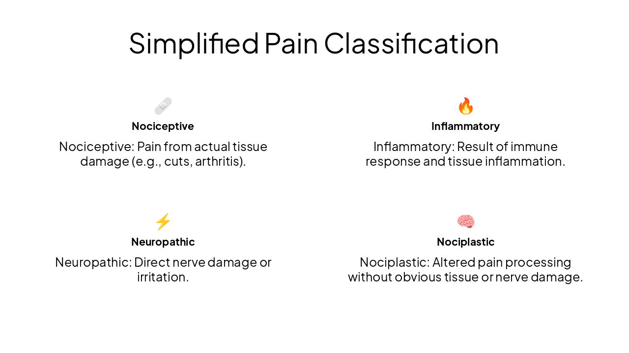 Slide 3 - Simplified Pain Classification