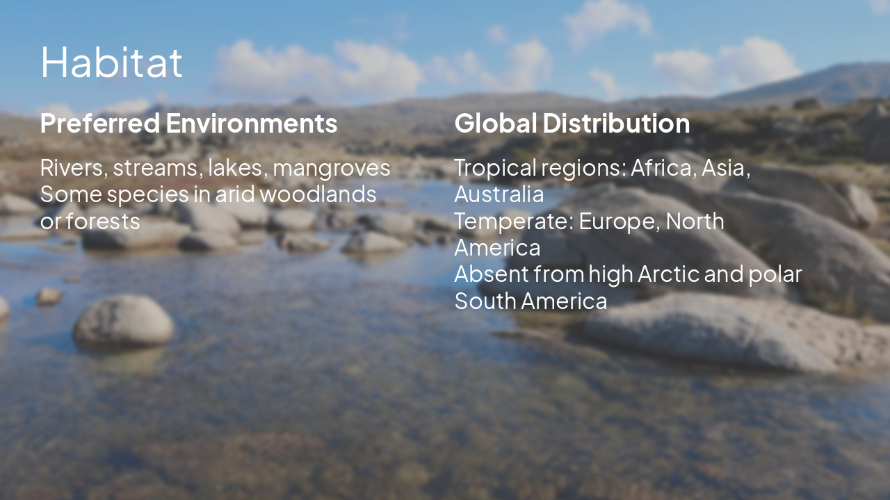 Slide 4 - Habitat