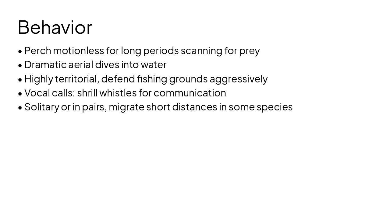 Slide 6 - Behavior