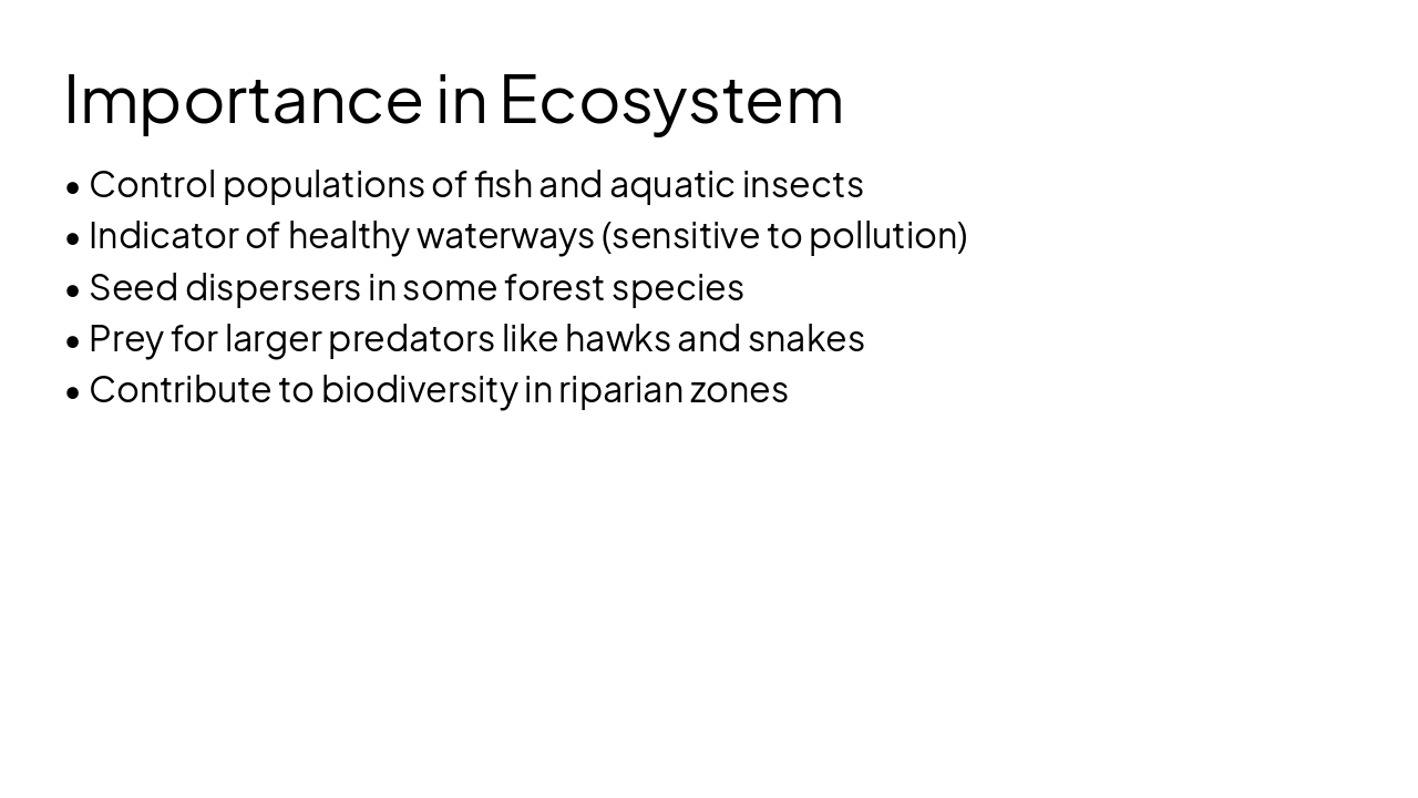Slide 9 - Importance in Ecosystem