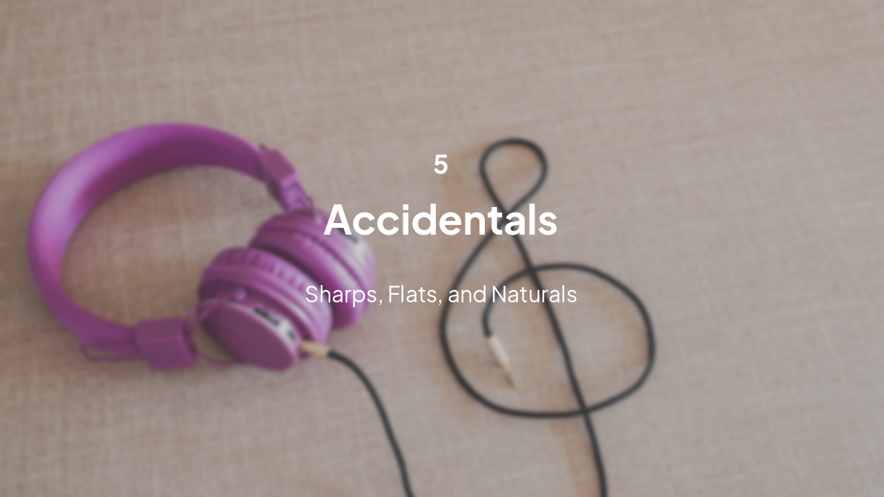 Slide 13 - Accidentals