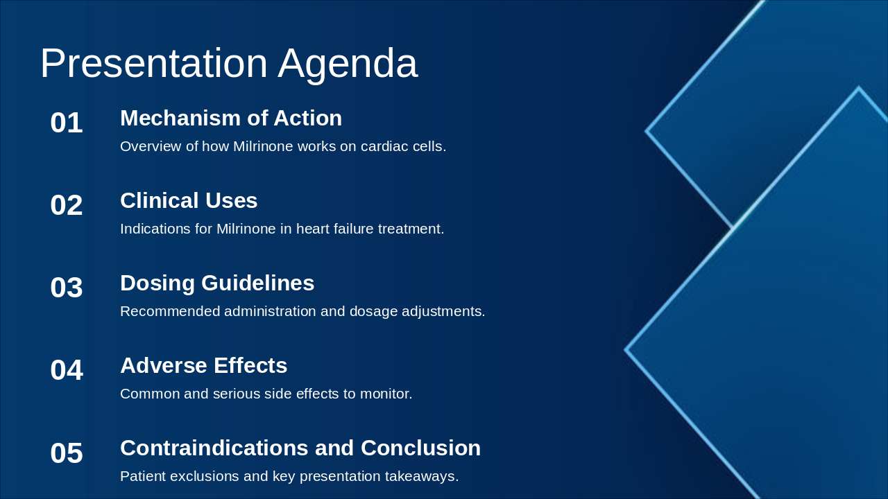 Slide 2 - Presentation Agenda