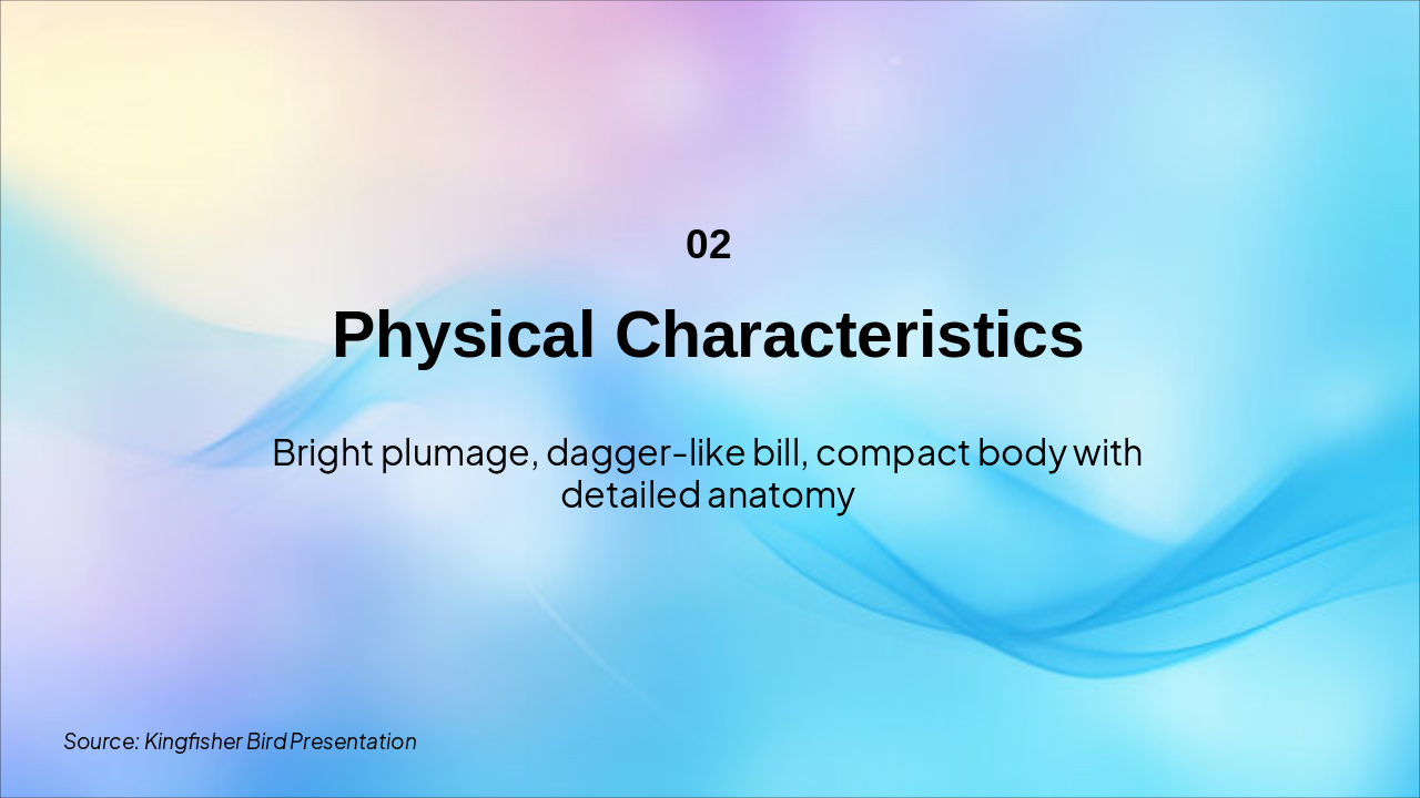 Slide 3 - Physical Characteristics