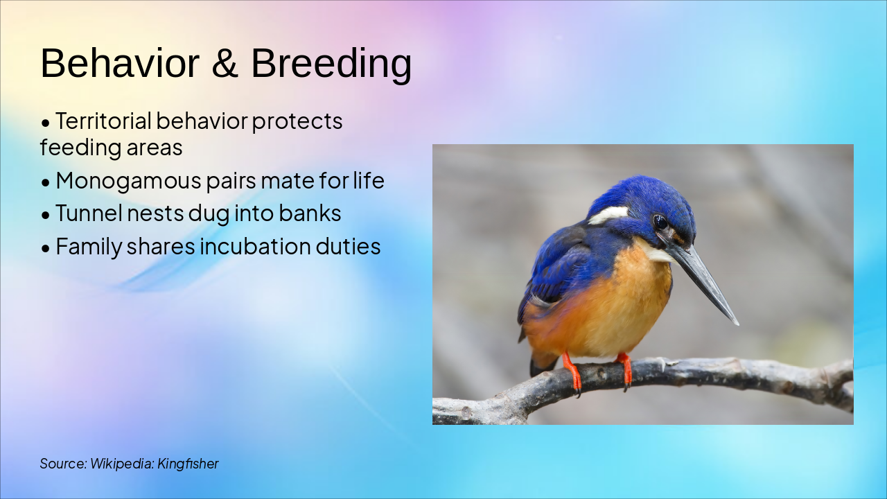 Slide 5 - Behavior & Breeding