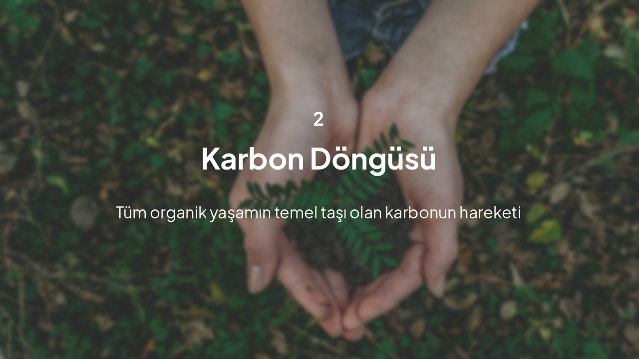 Slide 5 - Bölüm 2: Karbon Döngüsü