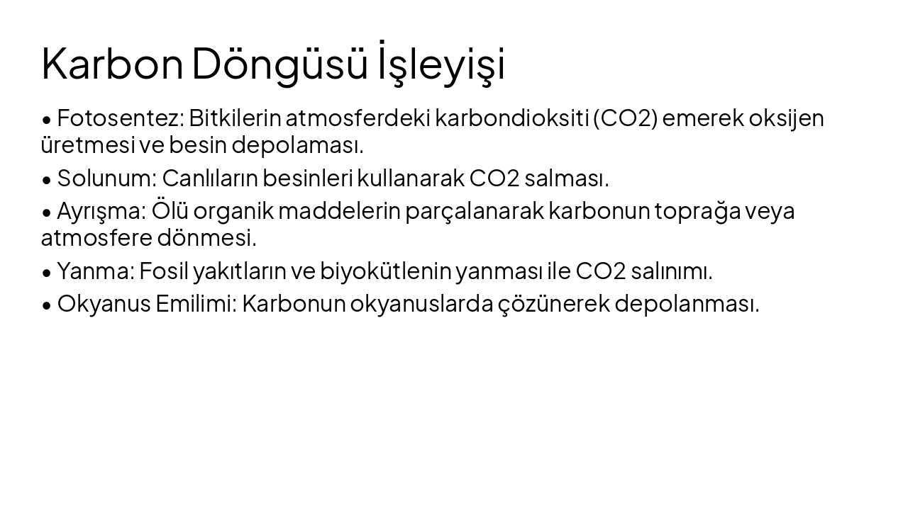 Slide 6 - Karbon Döngüsü İşleyişi