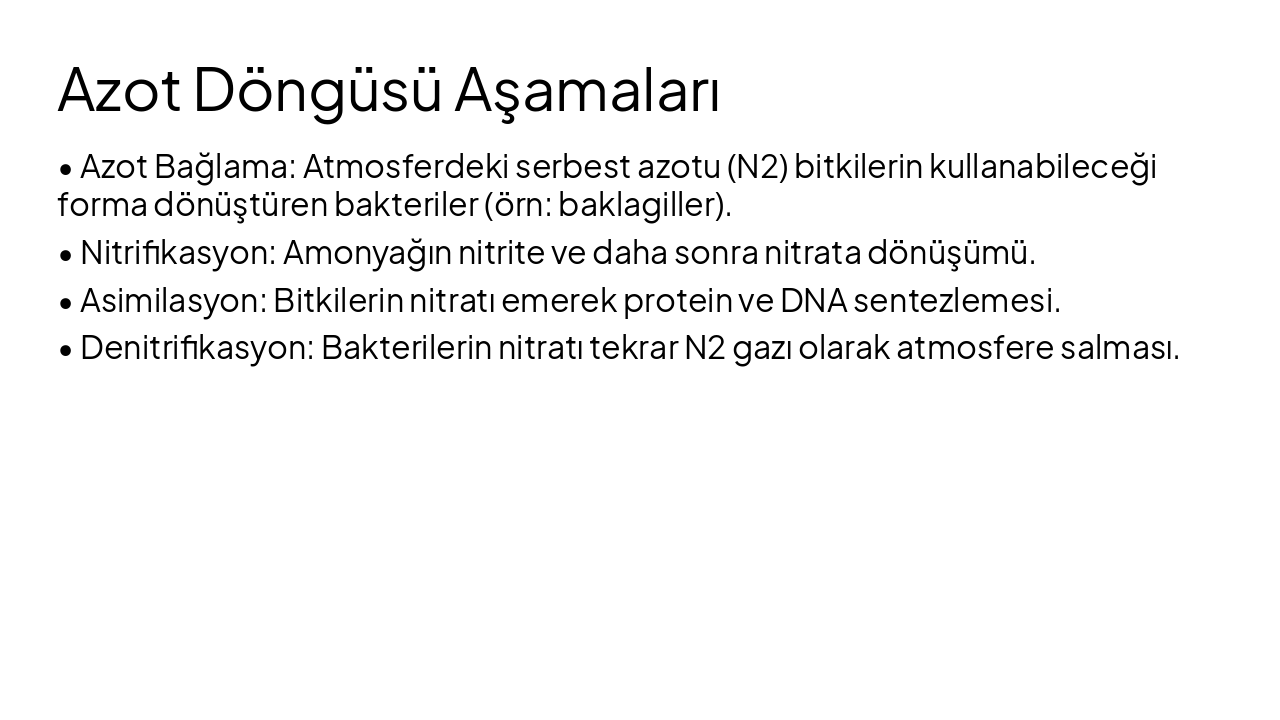 Slide 8 - Azot Döngüsü Aşamaları