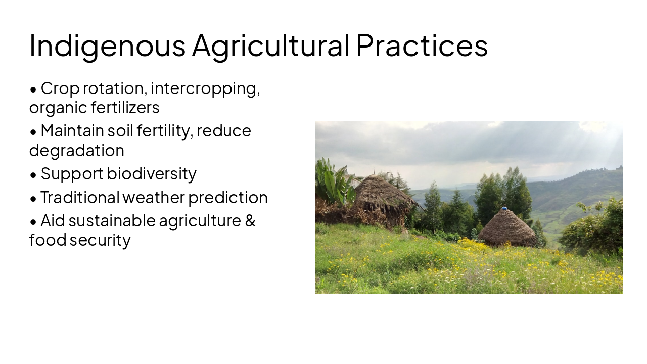 Slide 7 - Indigenous Agricultural Practices