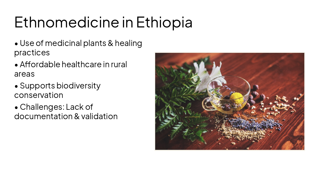 Slide 8 - Ethnomedicine in Ethiopia