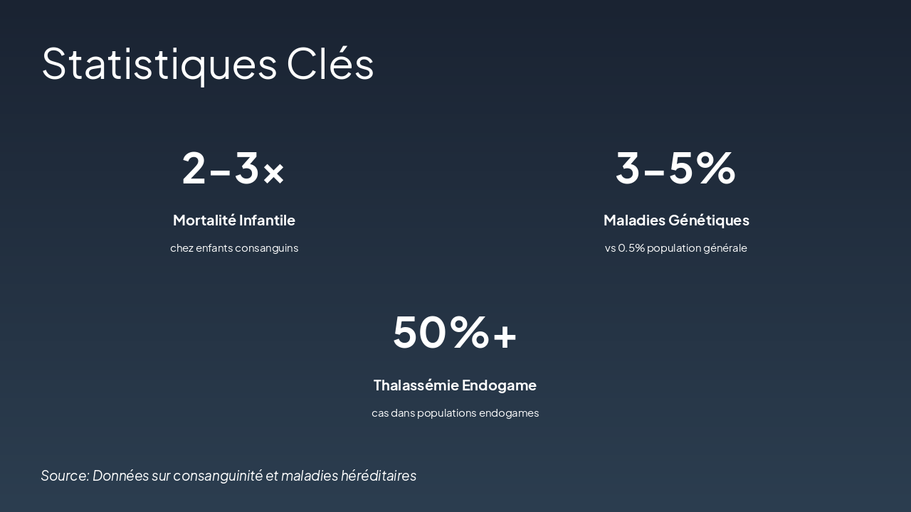 Slide 6 - Statistiques Clés