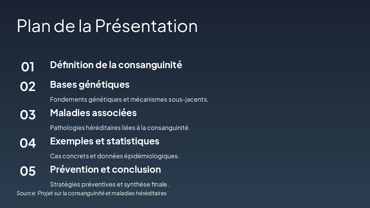 Slide 2 - Plan de la Présentation