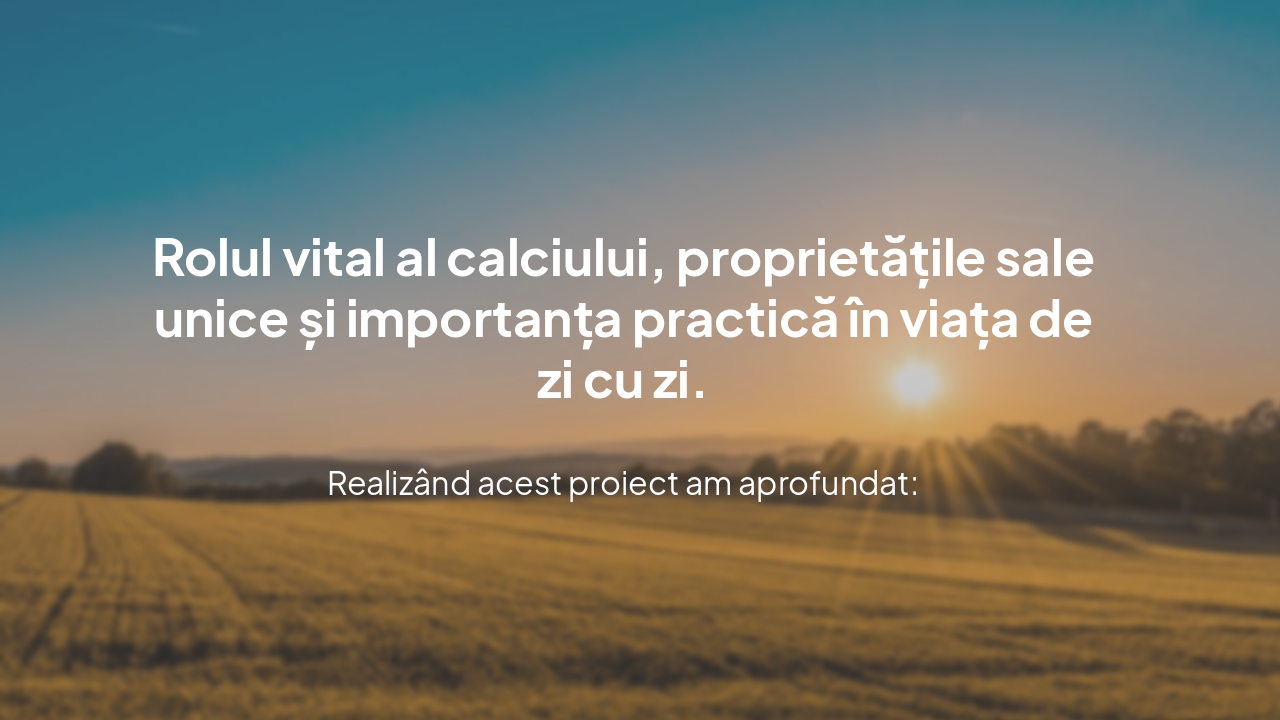 Slide 10 - Concluzii