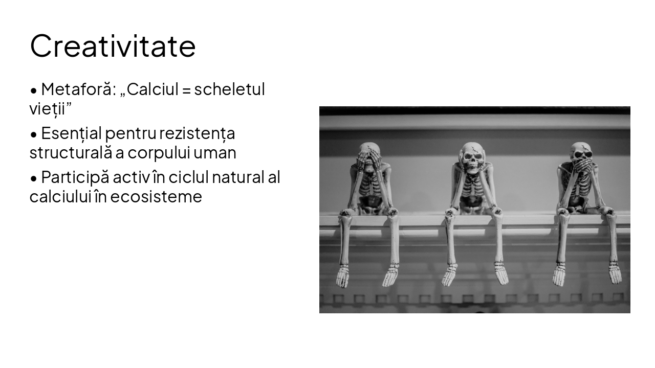 Slide 6 - Creativitate