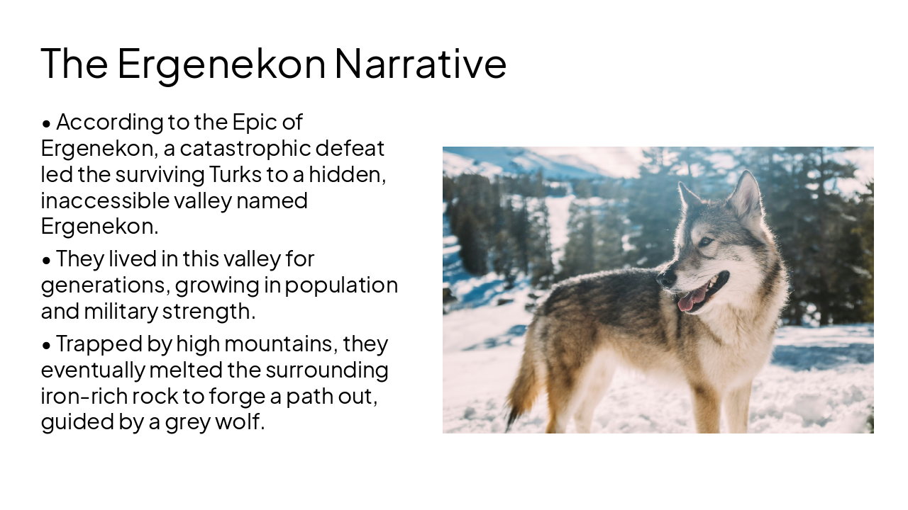 Slide 4 - The Ergenekon Narrative