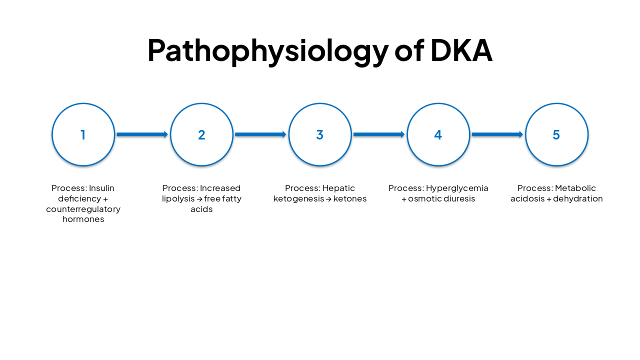 Slide 7 - Pathophysiology of DKA