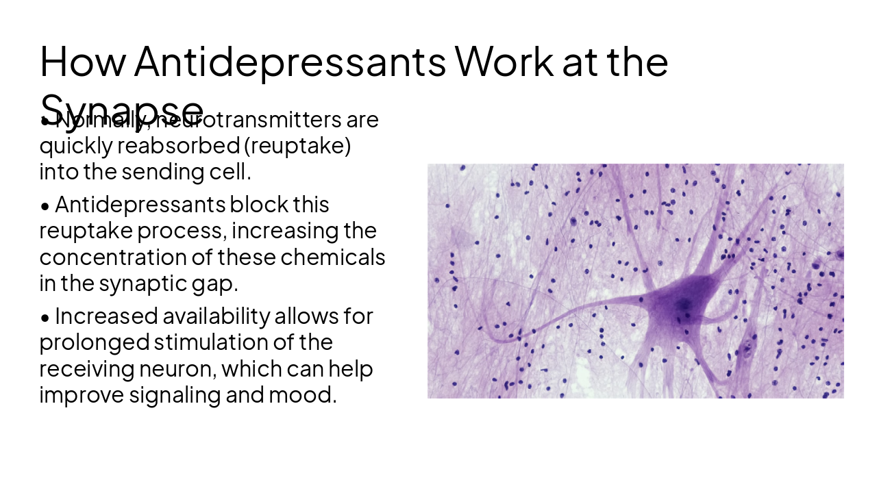 Slide 4 - How Antidepressants Work at the Synapse