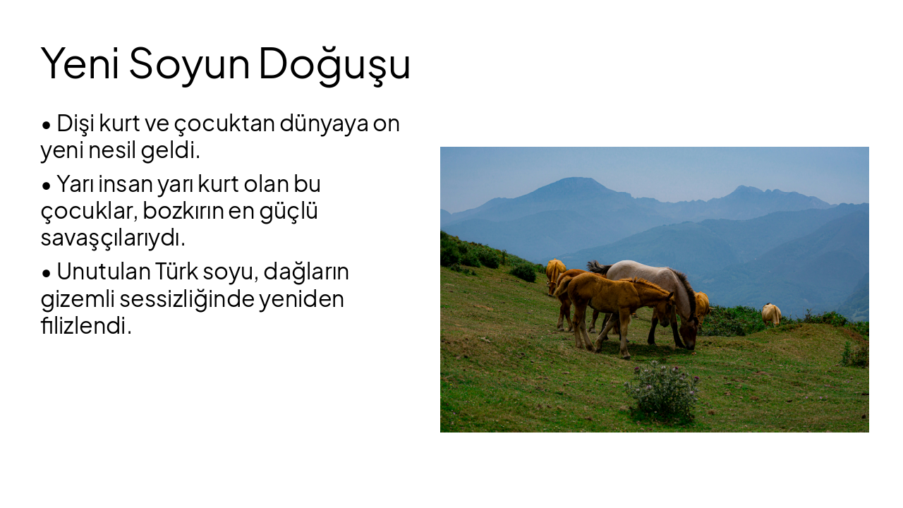Slide 5 - Yeni Soyun Doğuşu