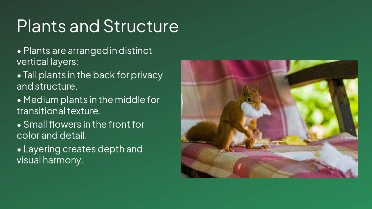 Slide 5 - Plants and Structure