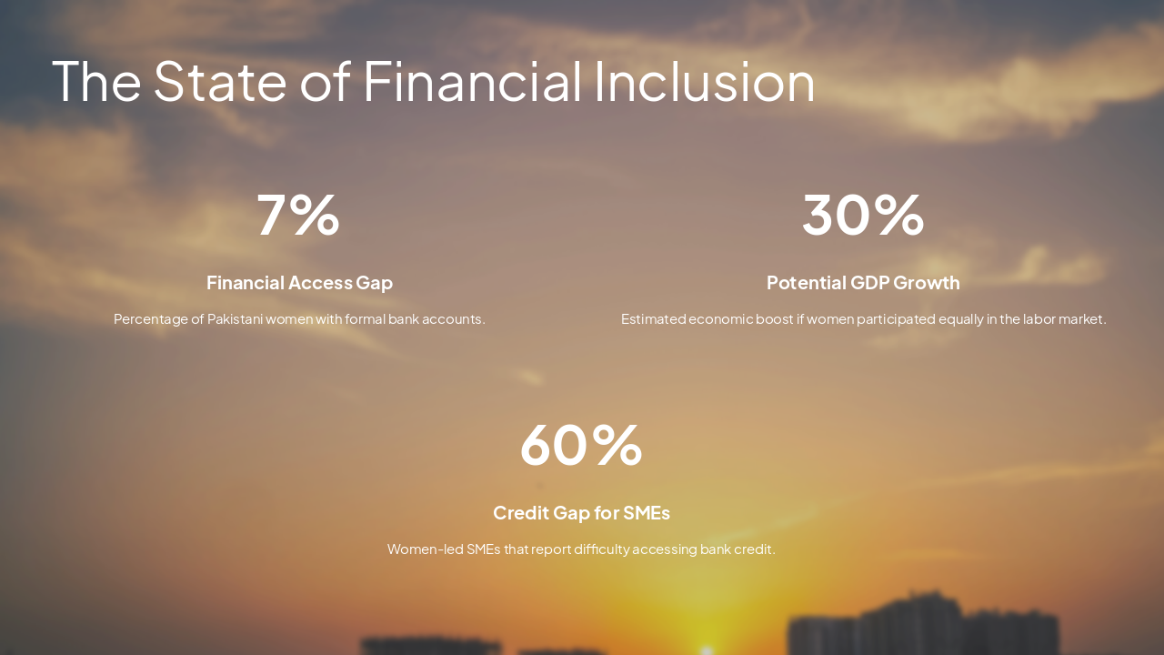 Slide 3 - The State of Financial Inclusion