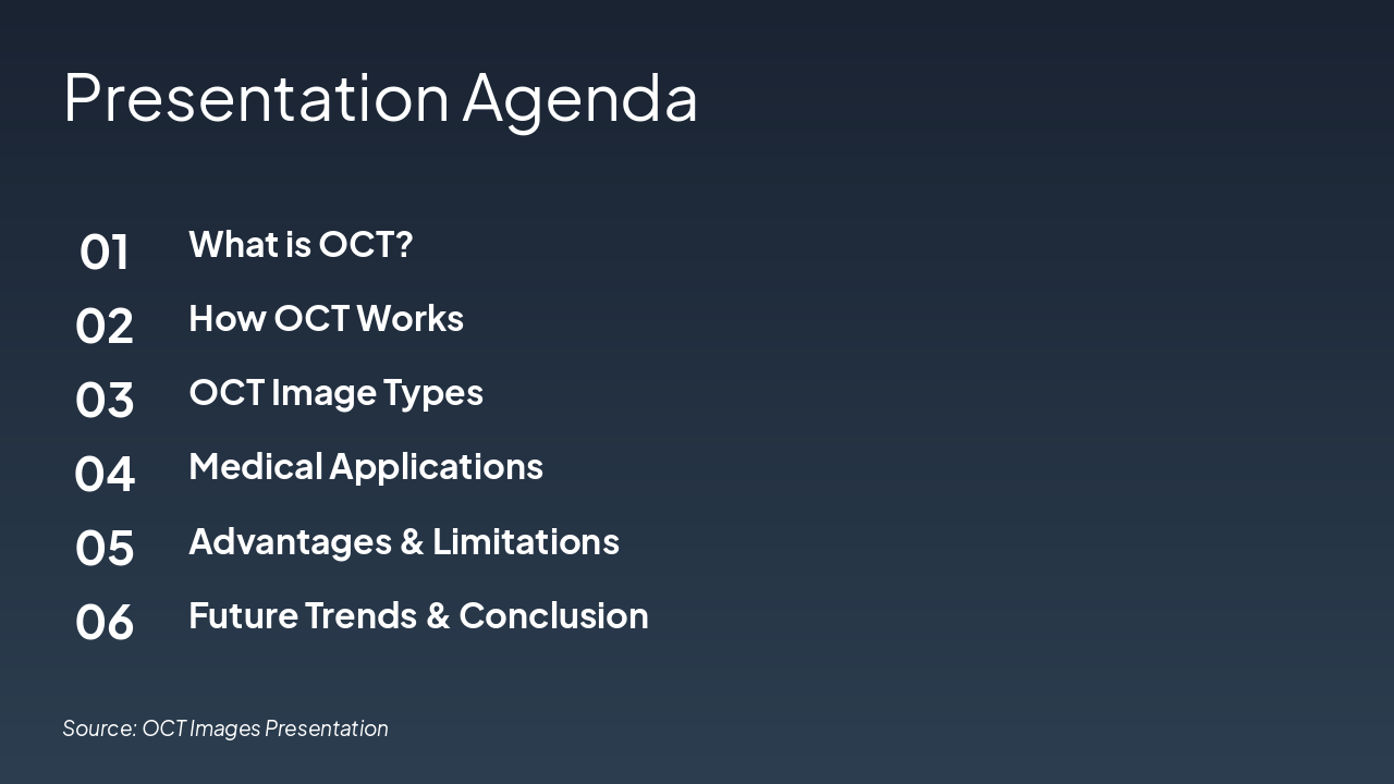 Slide 2 - Presentation Agenda