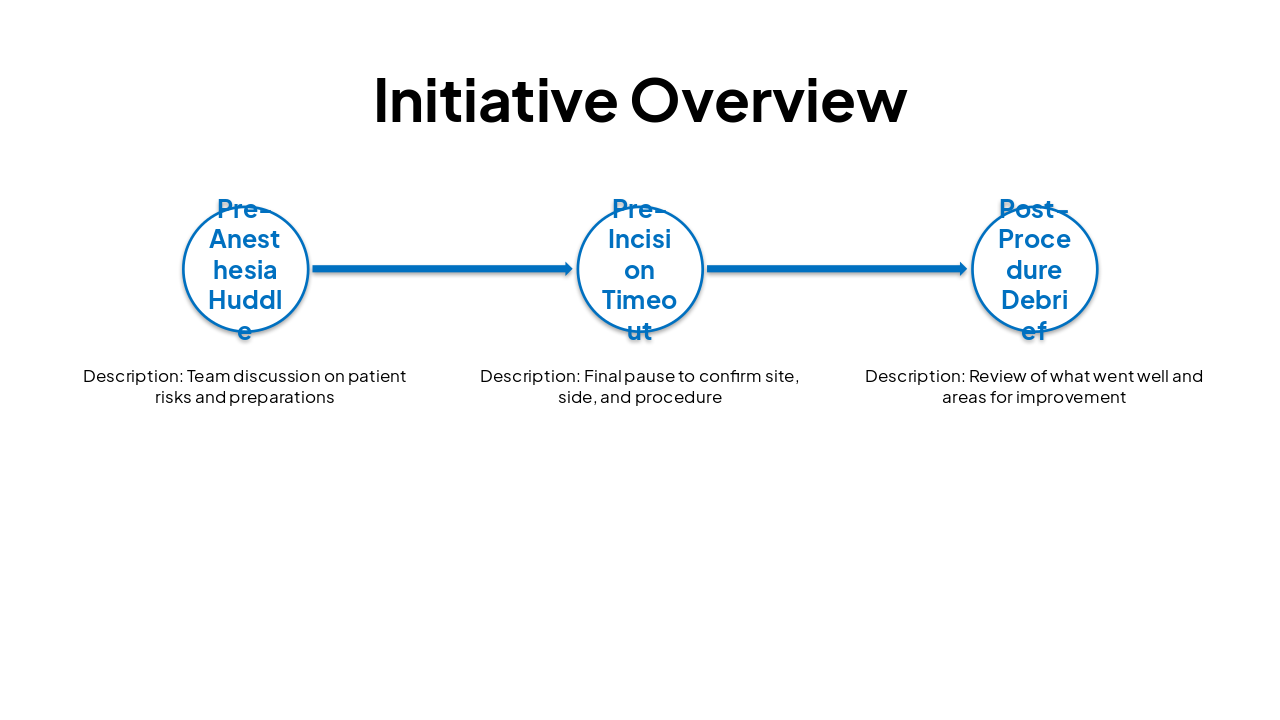 Slide 3 - Initiative Overview