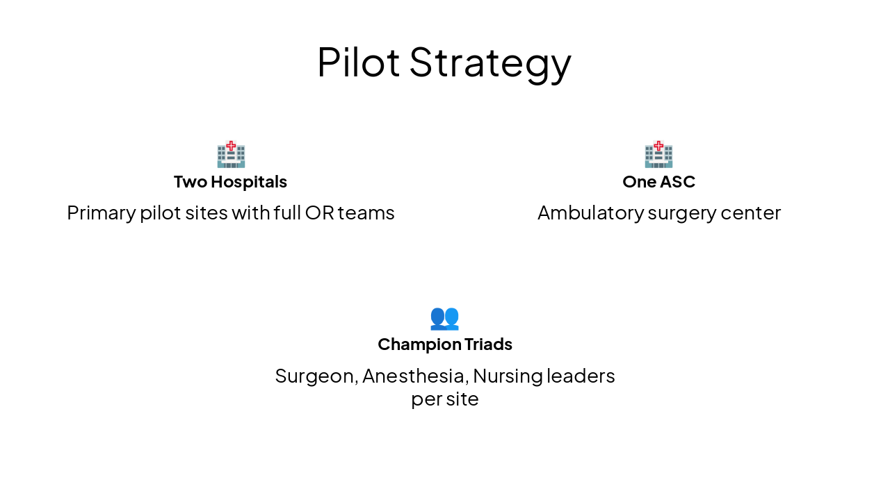 Slide 6 - Pilot Strategy