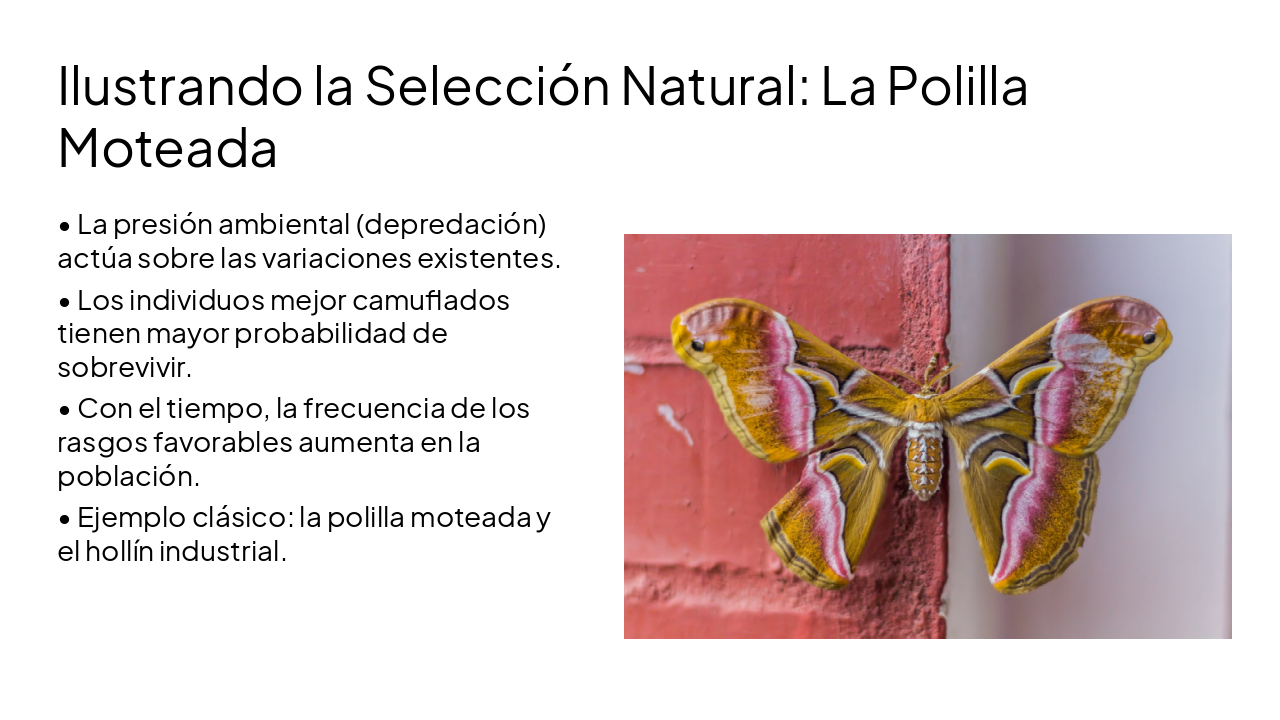 Slide 5 - Ilustrando la Selección Natural: La Polilla Moteada