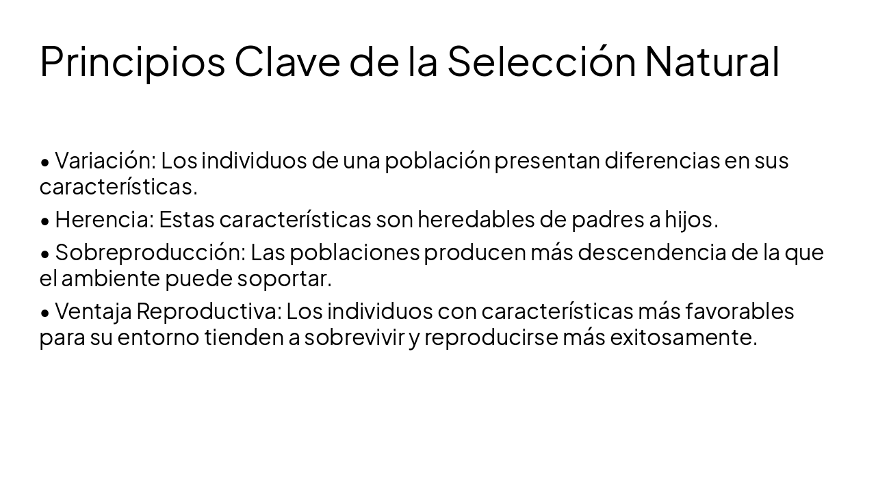Slide 4 - Principios Clave de la Selección Natural