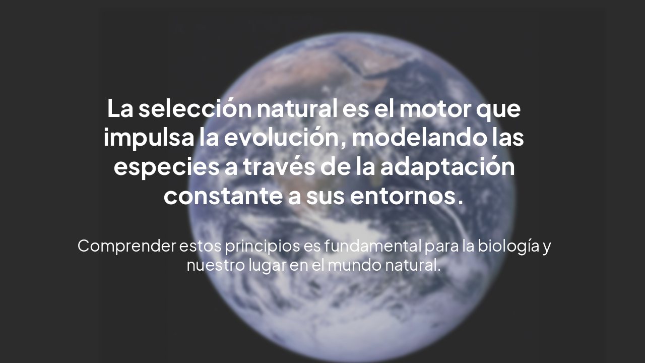 Slide 11 - Conclusiones Clave
