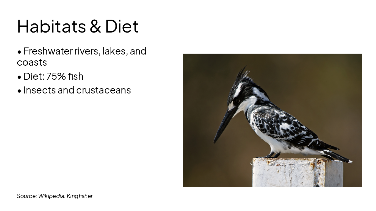 Slide 4 - Habitats & Diet