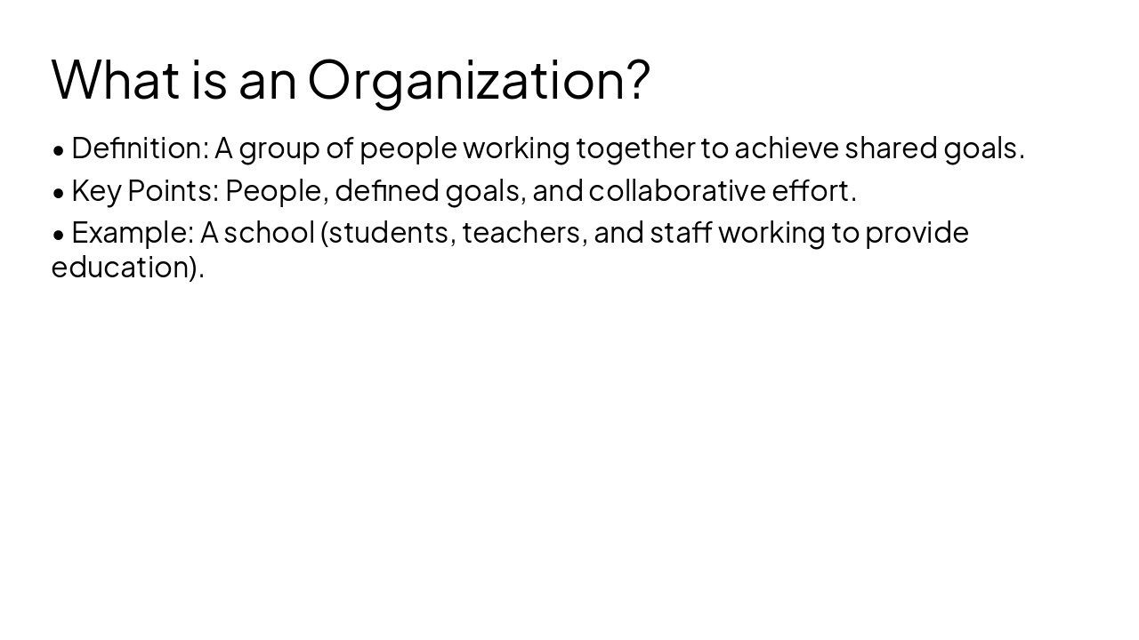 Slide 4 - What is an Organization?