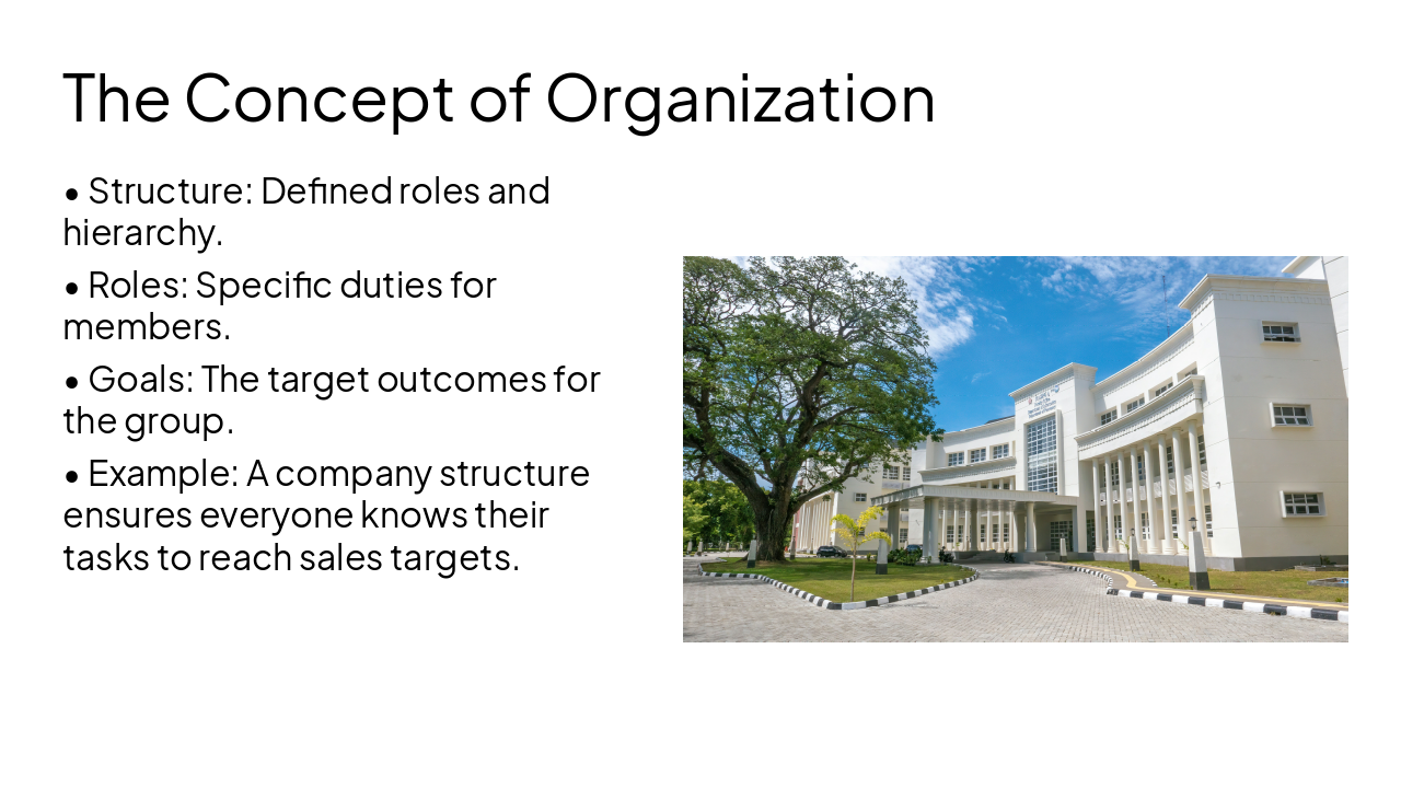 Slide 5 - The Concept of Organization