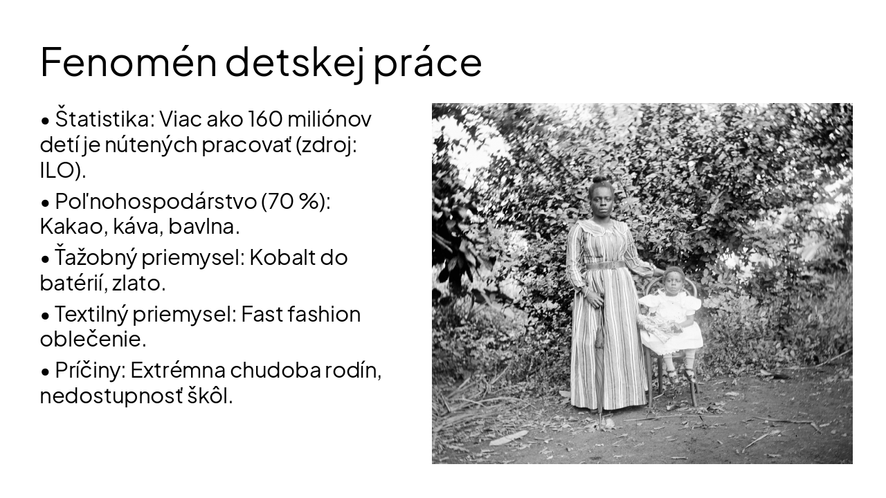 Slide 4 - Fenomén detskej práce